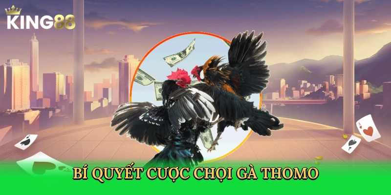 bi-quyet-cuoc-choi-ga-thomo-4