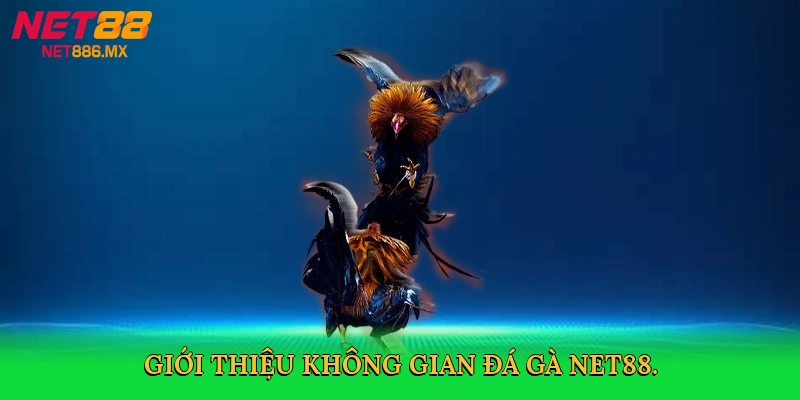 gioi-thieu-khong-gian-da-ga-net88-2