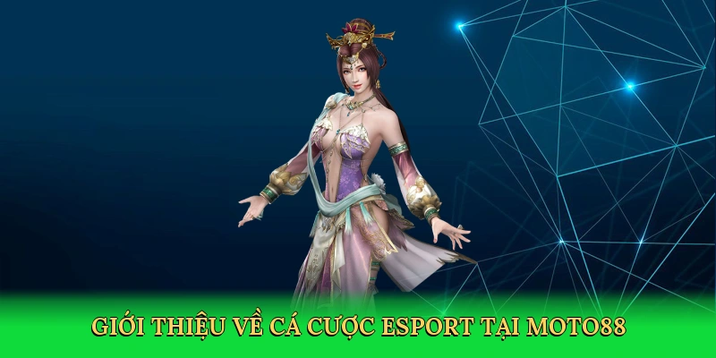 Giới thiệu về Cá cược esport tại MOTO88