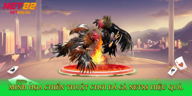 minh-hoa-chien-thuat-choi-da-ga-net88-hieu-qua-4