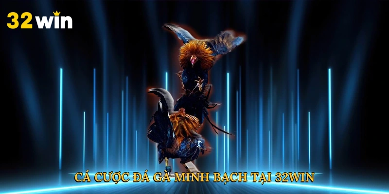 ca-cuoc-da-ga-minh-bach-tai-32win-3