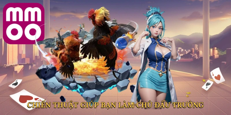 Chiến thuật thông minh giúp bạn làm chủ đấu trường