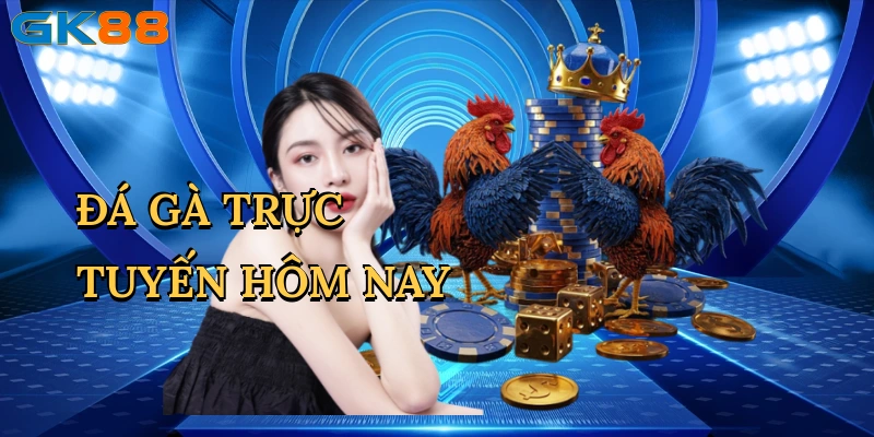 da-ga-truc-tuyen-hom-nay-1